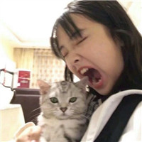 阴阳师头像框有哪些4