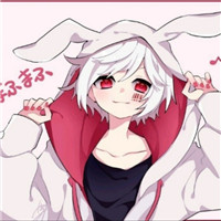 steam有个国王头像的游戏11