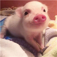 两兄弟头像动画10