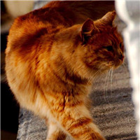 叼着烟的女生个性头像6