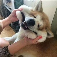 将棋游戏情侣头像11