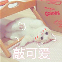 群体头像是什么5