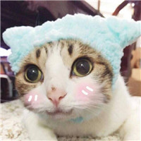 单身魏无羡头像3 单身魏无羡头像3