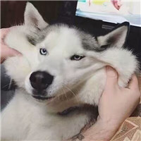 动漫好看头像抽烟5