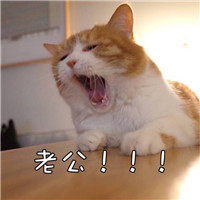 爆笑黑人兄弟头像二人5