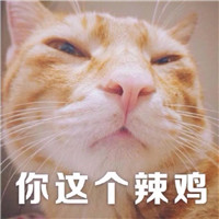 周瑜头像图片漫画6