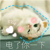 个性头像生肖虎4