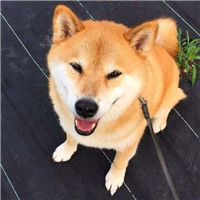 黑色星期五之夜恐怖双子头像12