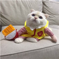 小红书超好看头像20249