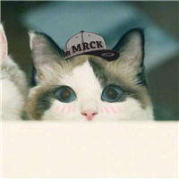 二月的壁纸8 二月的壁纸8