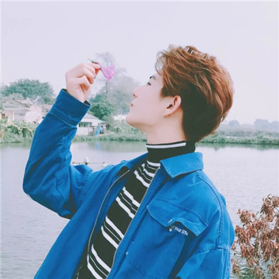 微信头像猫咪搞怪头像3