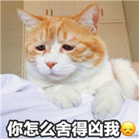 紫霞头像高清 情侣4