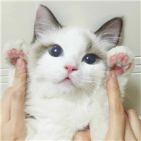 微信里面的头像有哪些2