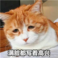 可爱动物头像卡通版QQ4