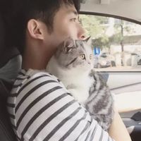小凤九搞笑头像6