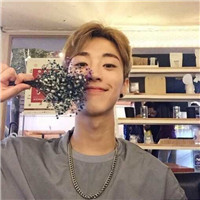 萌版可爱小狗背景头像2