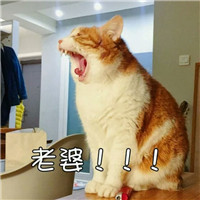 奥特曼经典qq头像2