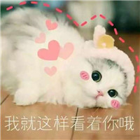 微信头像可以用什么好6