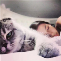 胡歌侧脸黑白头像大全2