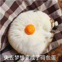 抖音默认头像多少种2