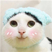 美女树叶挡眼睛卡通头像8