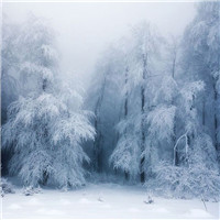 扣扣头像闺蜜下半身3