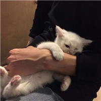 风雨兼程的头像女8
