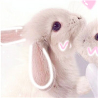 女生的头像大全可爱1