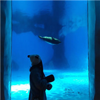 五味含义10 五味含义10