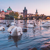 小孩子背影唯美头像12