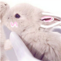 动态头像个性网1 动态头像个性网1