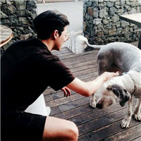 头像微信2022年最新版搞笑5