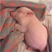 小学生个性头像画6