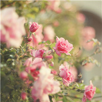 男生个性头像酷酷的10