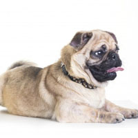 显身材个性头像12 显身材个性头像12