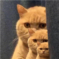 有个性的头像11 有个性的头像11