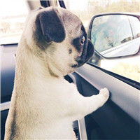 七夕节最合适有哪些头像7 七夕节最合适有哪些头像7