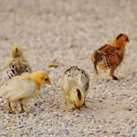 就像头像3 就像头像3