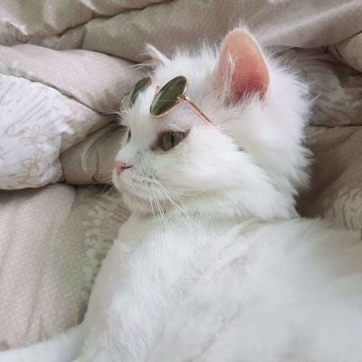 好看头像下雪7