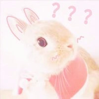 兄弟聚会用的卡通头像11