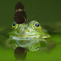 炫酷的qq头像帅男生5 炫酷的qq头像帅男生5