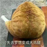 圣诞节头像情侣动漫欧美7