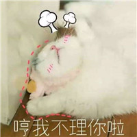 非主流单身狗图片带字头像2