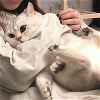 情侣古风头像红色嫁衣伤感3 情侣古风头像红色嫁衣伤感3