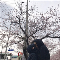 小李黑白头像8 小李黑白头像8