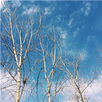 天堂的天使微信头像10 天堂的天使微信头像10