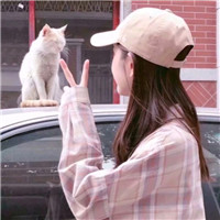 波比搞笑头像9