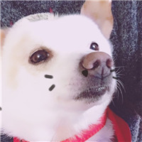 曹姓12生肖头像微信11