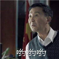 狗狗的可爱头像唯美3