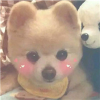 qq友乐园头像女生10